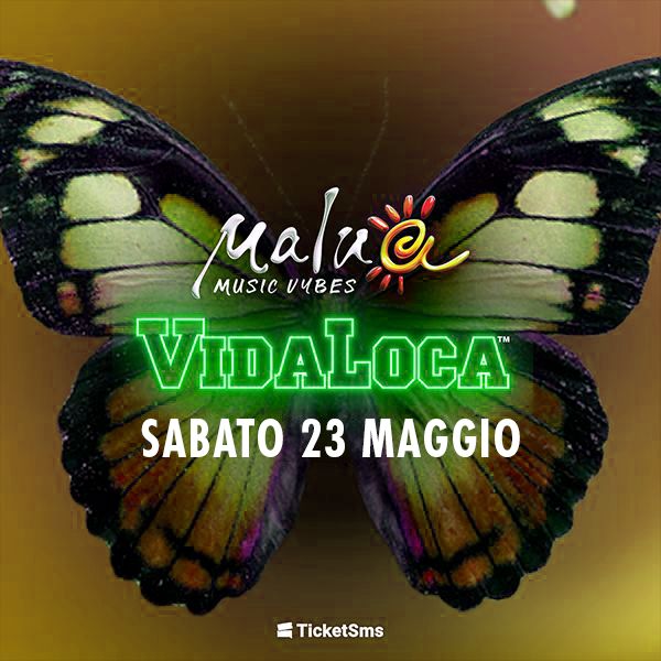 Vidaloca Malua54