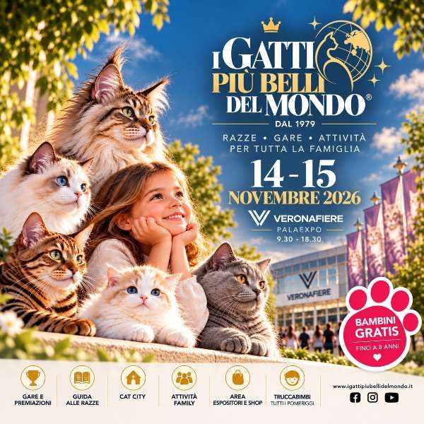 I gatti più belli del mondo Palaexpo verona